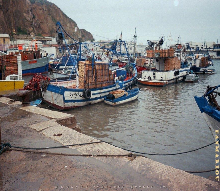 oran 019.jpg